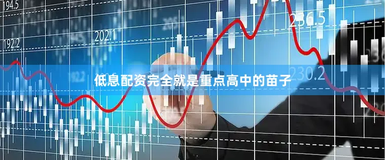 低息配资完全就是重点高中的苗子