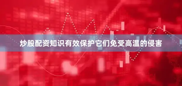 炒股配资知识有效保护它们免受高温的侵害